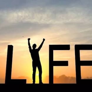Life RP image